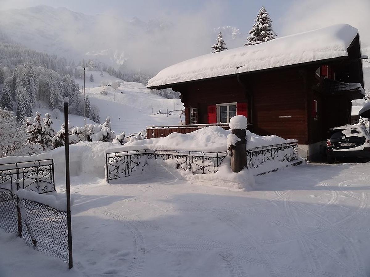 Apartment Chalet Spannortblick Енгельберг Екстер'єр фото